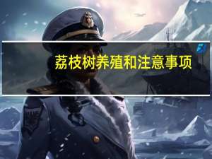 荔枝树养殖和注意事项