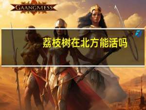 荔枝树在北方能活吗