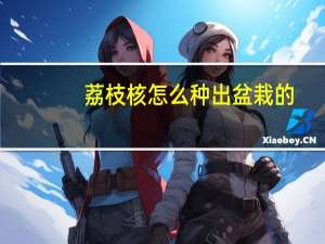 荔枝核怎么种出盆栽的（荔枝核怎么种出盆栽）