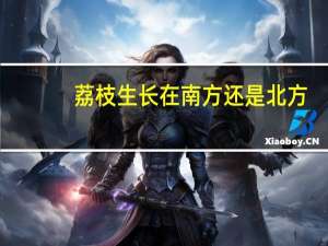 荔枝生长在南方还是北方
