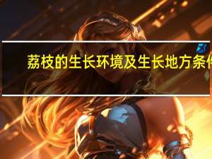 荔枝的生长环境及生长地方条件