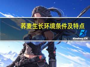 荞麦生长环境条件及特点