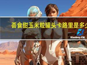荟食 甜玉米粒罐头卡路里是多少