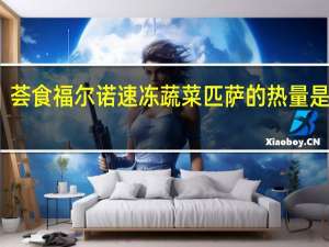 荟食 福尔诺速冻蔬菜匹萨的热量是多少
