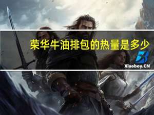 荣华 牛油排包的热量是多少