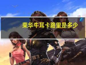 荣华 牛耳卡路里是多少