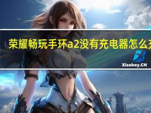 荣耀畅玩手环a2没有充电器怎么充电（荣耀畅玩手环A2）