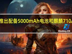 荣耀10XLite推出配备5000mAh电池和麒麟710A 售价约为RM1117