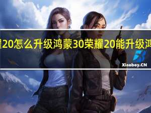 荣耀20怎么升级鸿蒙30 荣耀20能升级鸿蒙系统吗