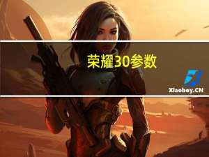 荣耀30参数（荣耀30）