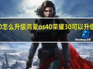 荣耀30怎么升级鸿蒙os40 荣耀30可以升级鸿蒙系统吗