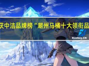 荣获中洁品牌榜“潮州马桶十大领衔品牌”称号