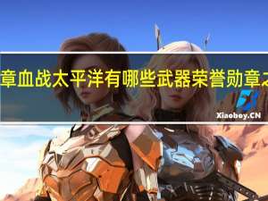 荣誉勋章血战太平洋有哪些武器 荣誉勋章之血战太平洋