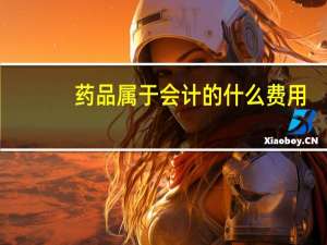 药品属于会计的什么费用