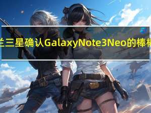 荷兰三星确认Galaxy Note 3 Neo的棒棒糖