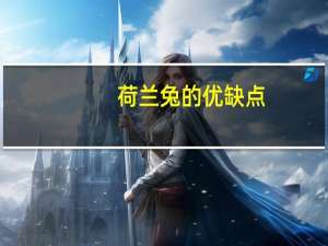 荷兰兔的优缺点