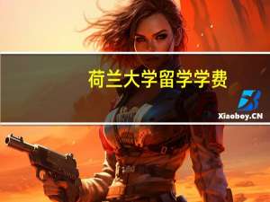 荷兰大学留学学费