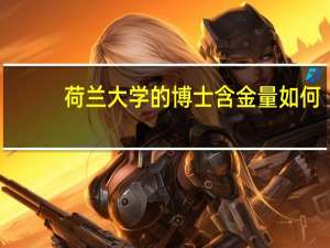 荷兰大学的博士含金量如何
