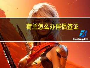 荷兰怎么办伴侣签证