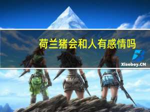 荷兰猪会和人有感情吗