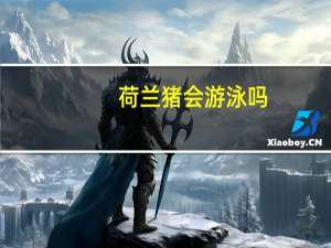 荷兰猪会游泳吗