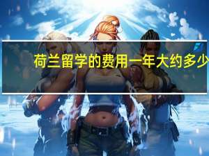 荷兰留学的费用一年大约多少