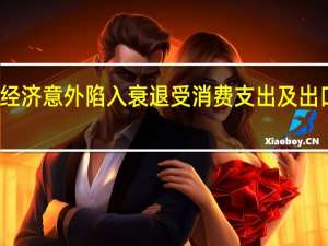荷兰经济意外陷入衰退 受消费支出及出口疲软拖累