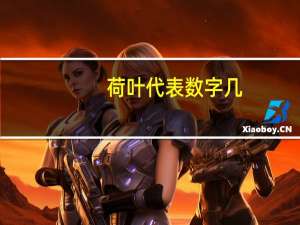荷叶代表数字几