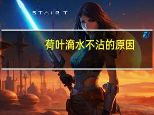 荷叶滴水不沾的原因