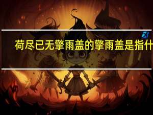 荷尽已无擎雨盖的擎雨盖是指什么