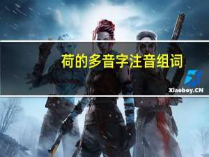 荷的多音字注音组词