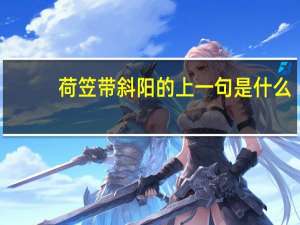 荷笠带斜阳的上一句是什么