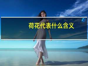 荷花代表什么含义