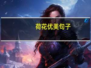 荷花优美句子