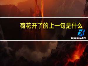 荷花开了的上一句是什么