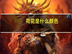 荷花是什么颜色