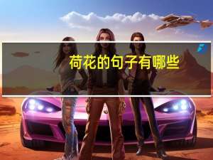 荷花的句子有哪些