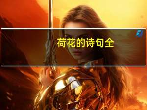 荷花的诗句全