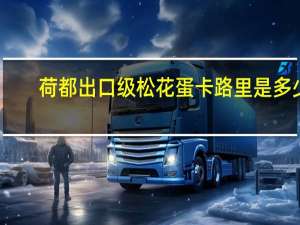 荷都 出口级松花蛋卡路里是多少