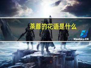 荼蘼的花语是什么（茶蘼是什么）