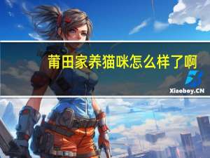 莆田家养猫咪怎么样了啊
