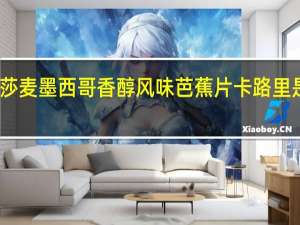 莎麦 墨西哥香醇风味芭蕉片卡路里是多少