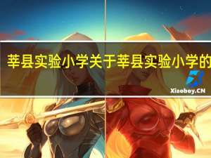 莘县实验小学 关于莘县实验小学的介绍