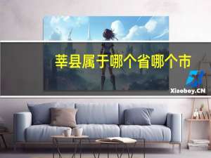 莘县属于哪个省哪个市