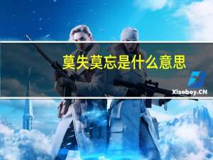 莫失莫忘是什么意思