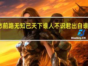 莫愁前路无知己天下谁人不识君出自谁的别董大