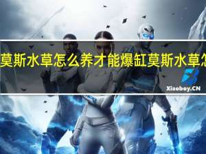 莫斯水草怎么养才能爆缸 莫斯水草怎么养