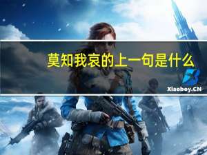 莫知我哀的上一句是什么
