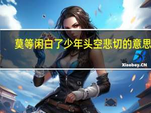 莫等闲白了少年头空悲切的意思是（莫等闲白了少年头空悲切的意思）