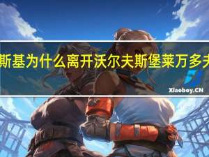 莱万多夫斯基为什么离开沃尔夫斯堡 莱万多夫斯基9分钟5球